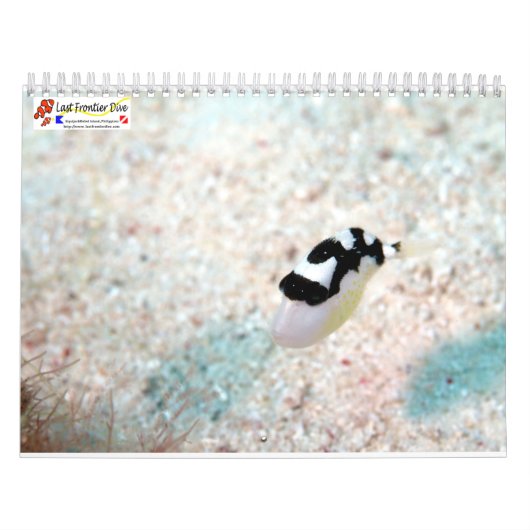 Underwater of Siquijor S- L size Kalender (Hoes)