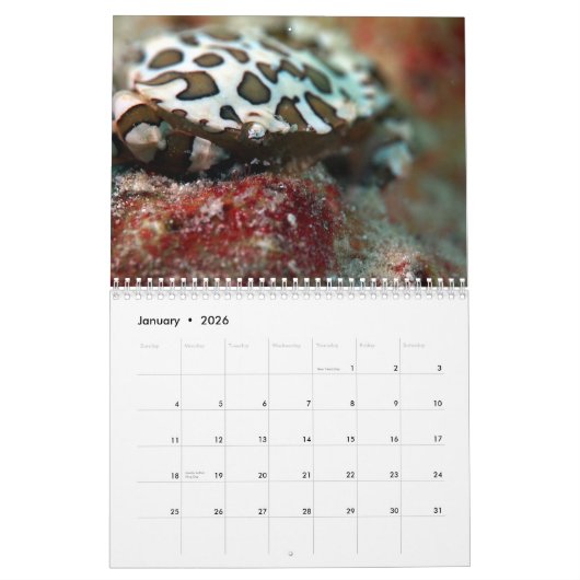 Underwater of Siquijor S- L size Kalender (Jan 2026)