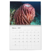 Underwater of Siquijor S- L size Kalender (Feb 2027)