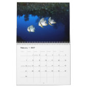 Underwater of Siquijor S- L size Kalender (Feb 2027)