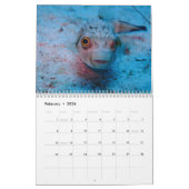 Underwater of Siquijor S- L size Kalender (Feb 2026)