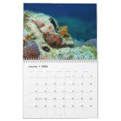 Underwater of Siquijor S- L size Kalender (Jan 2026)