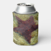 Underwater Starfish in the Bahamas Blikjeskoeler (Blikje Achterkant)