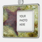 Underwater Starfish in the Bahamas Verzilverd Omlijst Ornament (Links)