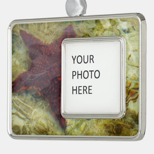 Underwater Starfish in the Bahamas Verzilverd Omlijst Ornament (Links)