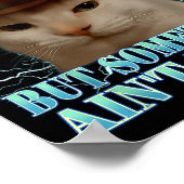 Undiagnosed But Soing Ain't Right Funny Silly Cat Poster (Hoek)