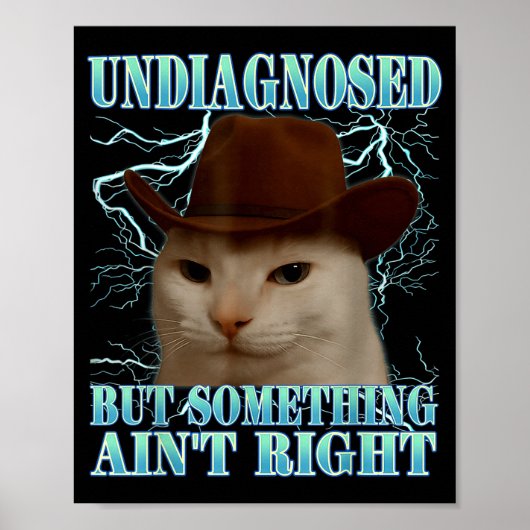 Undiagnosed But Soing Ain't Right Funny Silly Cat Poster (Voorkant)