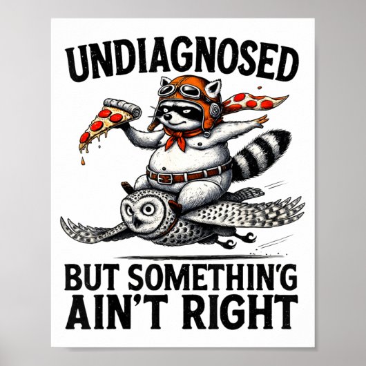 Undiagnosed Soing Aint Right Funny Raccoon Zza Owl Poster (Voorkant)