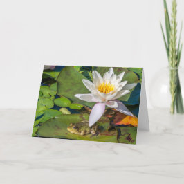Une grenouille sous une fleur de nénuphar kaart