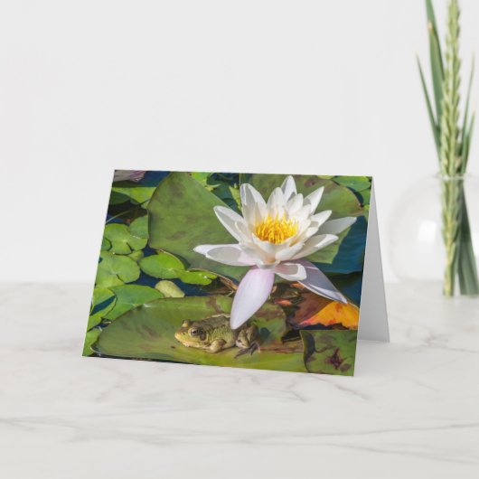 Une grenouille sous une fleur de nénuphar kaart (Voorkant)