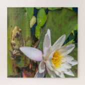 Une grenouille sous une fleur de nénuphar legpuzzel (Horizontaal)