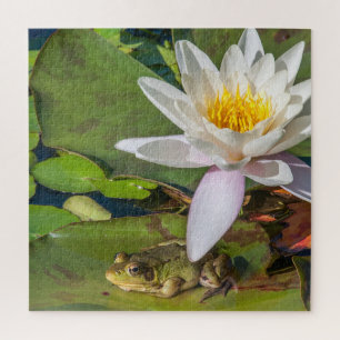 Une grenouille sous une fleur de nénuphar legpuzzel