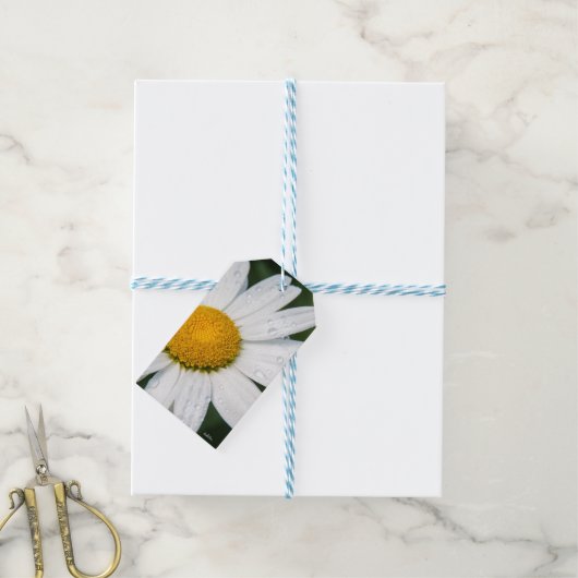 Une margueritte, font vert cadeaulabel (Met Touw)