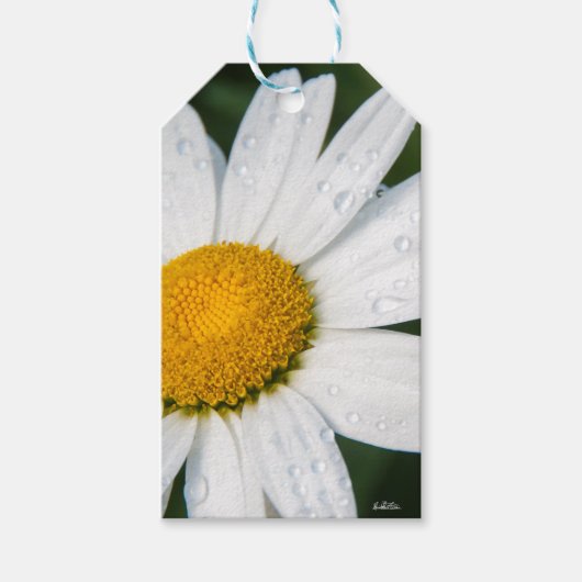 Une margueritte, font vert cadeaulabel (Voorkant)