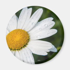 Une margueritte, font vert magneet