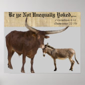 Unequally Yoked. V Poster (Voorkant)