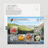 UNESCO - Atsinanana - Nationaal Park Andringitra Briefkaart (Voorkant / Achterkant)