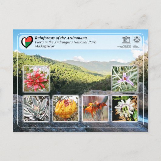 UNESCO - Atsinanana - Nationaal Park Andringitra Briefkaart (Voorkant)