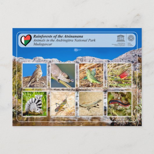 UNESCO - Atsinanana - Nationaal park Andringitra P Briefkaart (Voorkant)