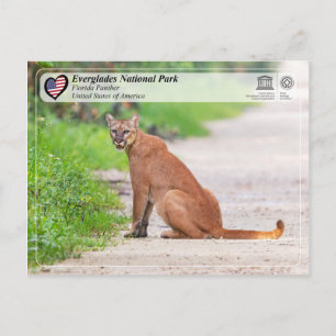 UNESCO - Everglades National Park - Florida Panthe Briefkaart