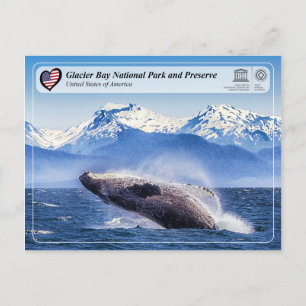 UNESCO: Glacier Bay National Park - Whale Spotting Briefkaart