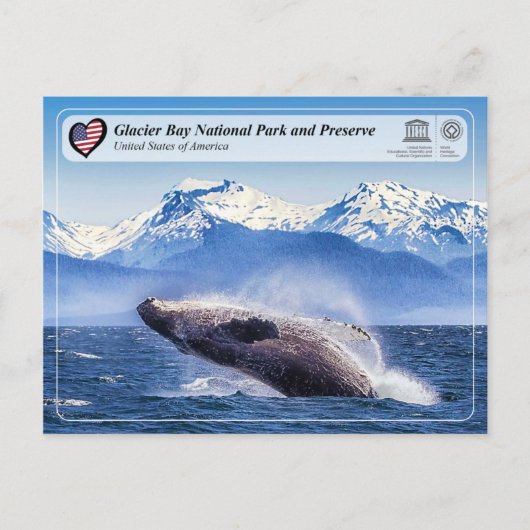 UNESCO: Glacier Bay National Park - Whale Spotting Briefkaart (Voorkant)
