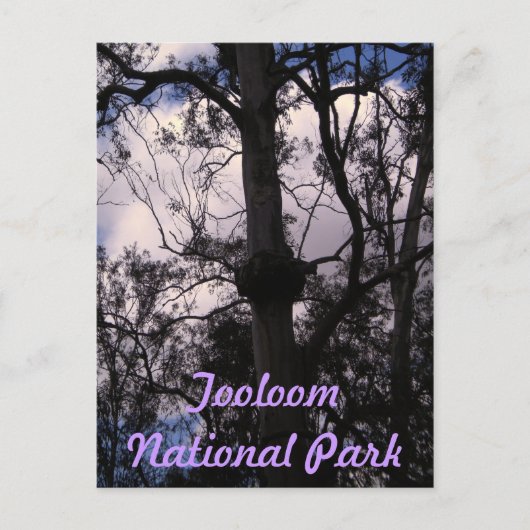 UNESCO Gondwana Ranges, Australië Briefkaart (Voorkant)