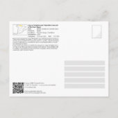 UNESCO - Grot van El Castillo / Cueva de El Castil Briefkaart (Achterkant)