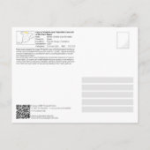 UNESCO - Grot van Las Monedas / Cueva de Las Moned Briefkaart (Achterkant)