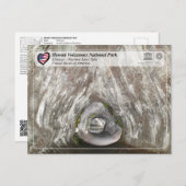 UNESCO - Hawaii Volcanoes NP - Kīlauea Briefkaart (Voorkant / Achterkant)