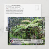 UNESCO - Hawaii Volcanoes NP - Ola Forest Post Briefkaart (Voorkant / Achterkant)