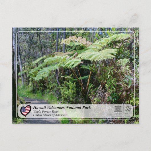 UNESCO - Hawaii Volcanoes NP - Ola Forest Post Briefkaart (Voorkant)