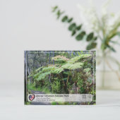 UNESCO - Hawaii Volcanoes NP - Ola Forest Post Briefkaart (Staand voorkant)