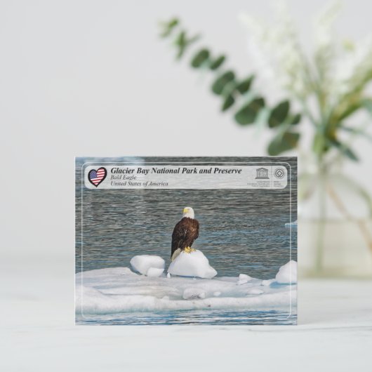 UNESCO - Nationaal park Glacier Bay - Bald Eagle Briefkaart (Staand voorkant)