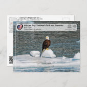 UNESCO - Nationaal park Glacier Bay - Bald Eagle Briefkaart (Voorkant / Achterkant)