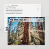 UNESCO - Nationaal Park Yosemite - Mariposa Grove  Briefkaart (Voorkant / Achterkant)