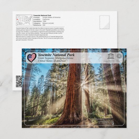 UNESCO - Nationaal Park Yosemite - Mariposa Grove  Briefkaart (Voorkant / Achterkant)