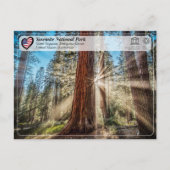 UNESCO - Nationaal Park Yosemite - Mariposa Grove  Briefkaart (Voorkant)