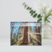 UNESCO - Nationaal Park Yosemite - Mariposa Grove  Briefkaart (Staand voorkant)