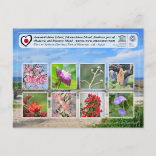 UNESCO - Noordelijk deel van Okinawa - 沖 縄 北 部 Briefkaart