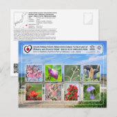 UNESCO - Noordelijk deel van Okinawa - 沖 縄 北 部 Briefkaart (Voorkant / Achterkant)