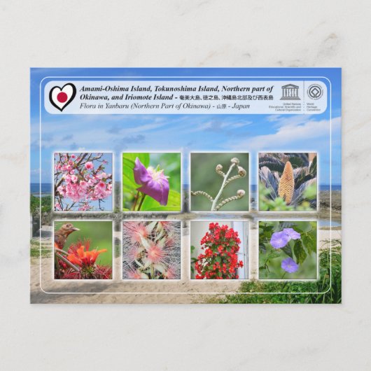 UNESCO - Noordelijk deel van Okinawa - 沖 縄 北 部 Briefkaart (Voorkant)
