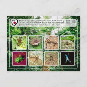 UNESCO - Noordelijk deel van Okinawa - 沖 縄 北 部 Briefkaart