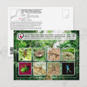 UNESCO - Noordelijk deel van Okinawa - 沖 縄 北 部 Briefkaart (Voorkant / Achterkant)