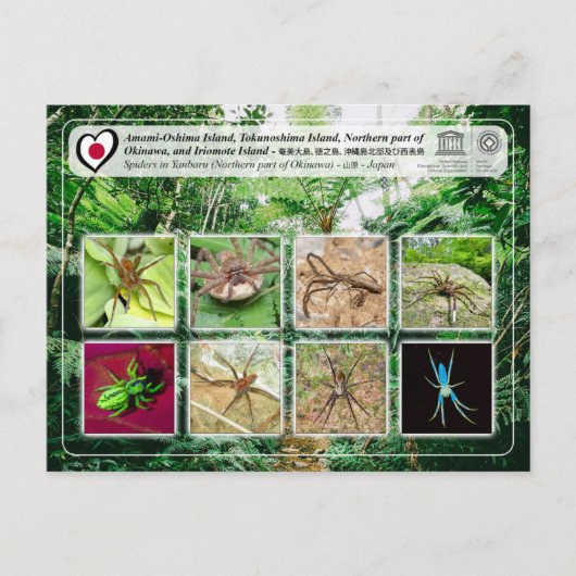 UNESCO - Noordelijk deel van Okinawa - 沖 縄 北 部 Briefkaart (Voorkant)