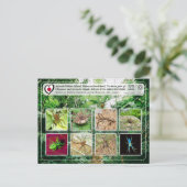 UNESCO - Noordelijk deel van Okinawa - 沖 縄 北 部 Briefkaart (Staand voorkant)