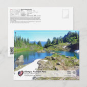 UNESCO - Olympisch Nationaal Park - Olympisch gebe Briefkaart (Voorkant / Achterkant)