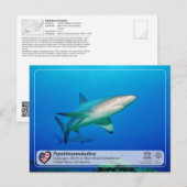 UNESCO - Papahānaumokuākea - Briefkaart Maro Reef (Voorkant / Achterkant)