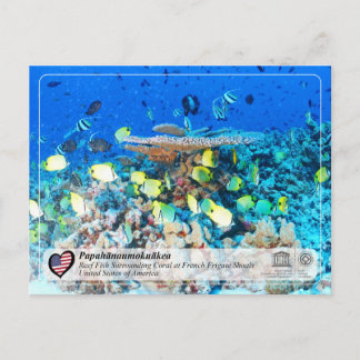 UNESCO - Papahānaumokuākea - Franstalige voetbalsc Briefkaart
