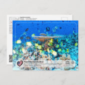 UNESCO - Papahānaumokuākea - Franstalige voetbalsc Briefkaart (Voorkant / Achterkant)